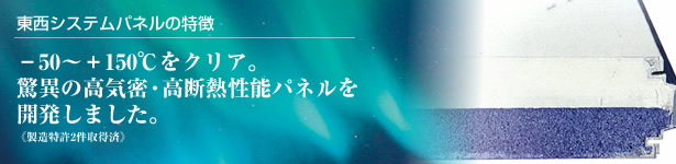 南極大陸での実績